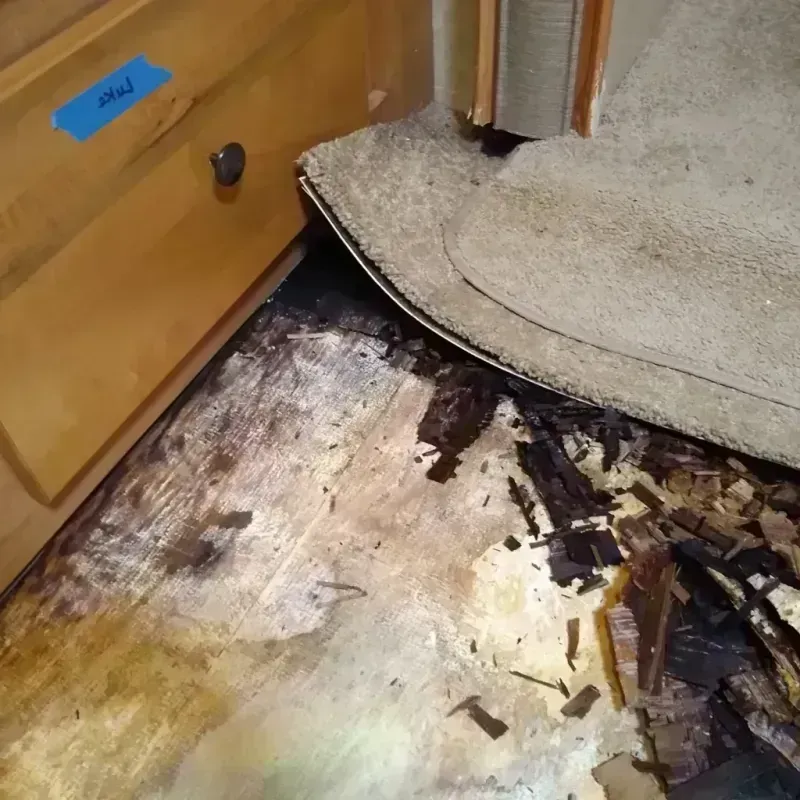 Best Wood Floor Water Damage Service in Orange County, FL